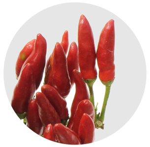 Капсикум Рэд Файер (Capsicum Red Fire)