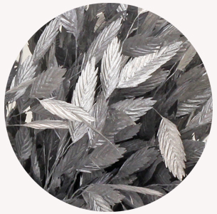 Хасмантиум крашеный серебряный (Silver)