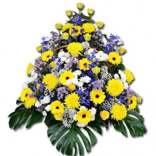 Корзина Ц 16 (Центральный салон)