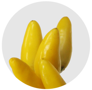 Капсикум Еллоу Файер (Capsicum Yellow Fire)