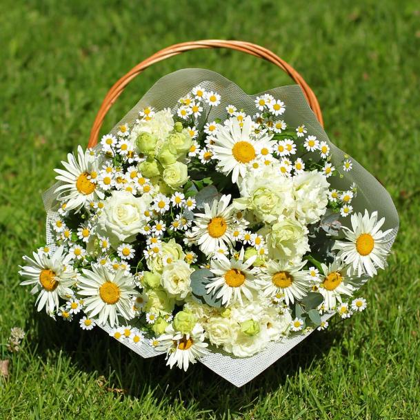 День семьи, любви и верности 2025