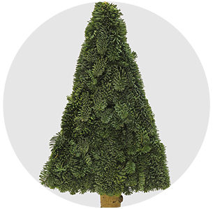 Нобилис Кранс ронд В (Nobilis Krans Rond V)