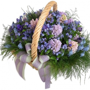 Корзина Ц 29 (Центральный салон)