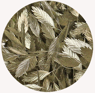 Хасмантиум крашеный платиновый (Platinum)