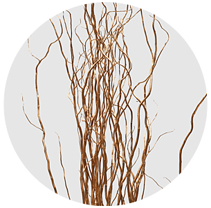 Корилус крашеный медный (Copper)