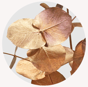 Эвкалипт крашеный медный (Copper)