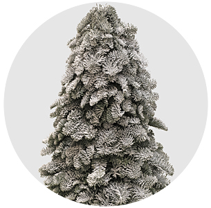 Нобилис дерево заснеженное (Noblis Tree Snow)