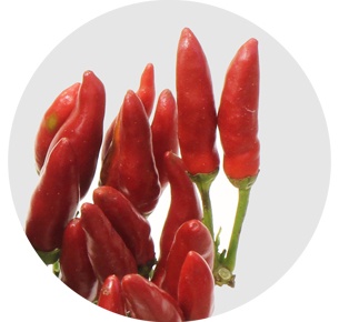 Капсикум Рэд Файер (Capsicum Red Fire)