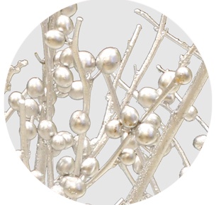 Илекс крашеный серебряный (Ilex painted metal silver)