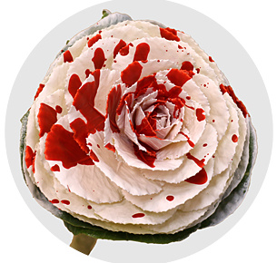 Брассика крашеная Сплэш бело-красная (Splash White-Red)