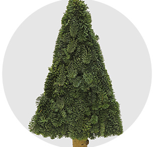 Нобилис Кранс ронд В (Nobilis Krans Rond V)