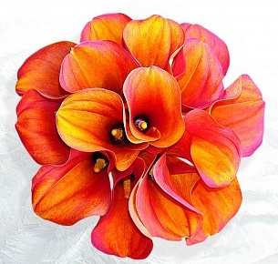 Букет невесты 29