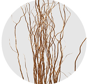 Корилус крашеный медный (Copper)