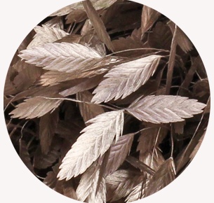 Хасмантиум крашеный Шампань (Champagne)