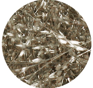 Паникум крашеный платиновый (Panicum platinum)