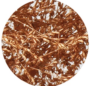 Паникум крашеный медный (Panicum copper)