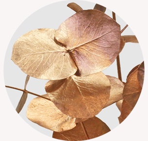 Эвкалипт крашеный медный (Copper)