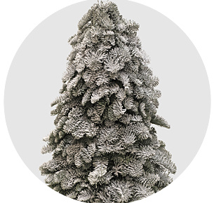 Нобилис дерево заснеженное (Noblis Tree Snow)